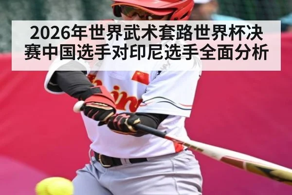 2026年世界武术套路世界杯决赛中国选手对印尼选手全面分析 - kaiyun